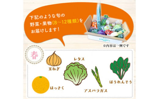 6ヶ月定期便 旬の新鮮野菜・果物詰合せセット(計6回お届け) 8-12品目  道の駅竜北《お申込み月の翌月から出荷開始》---sh_cmitiysiatei_21_98000_mo6num1---