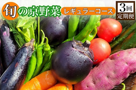 【3回定期便】旬の京野菜　毎月お届けレギュラーコース（全3回）※沖縄・離島・諸島へのお届け不可≪京都 丹波 野菜 野菜詰め合わせ 野菜セット 野菜定期便 厳選野菜 旬野菜≫