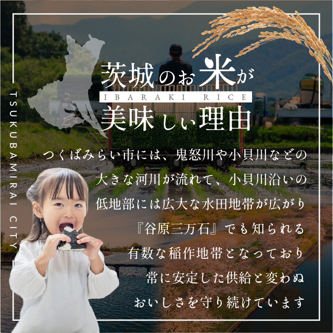 ＼ 新米 令和６年産 ／【 お試しサイズ 】 茨城県産 コシヒカリ 300g (300g×1袋) お試し ♪ 2合 五つ星お米マイスター監修 寄附額 1000円 ポッキリ 米 精米 茨城 お米 おこめ