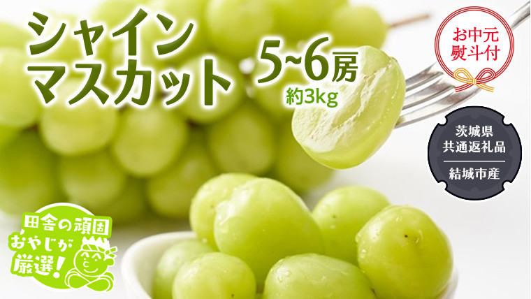 
            【お中元 熨斗付】 シャインマスカット 約3kg 5〜6房 【2025年7月より発送開始】 （茨城県共通返礼品 [ぶどう]：結城市産） 田舎の頑固おやじが厳選！ マスカット 種なし 高糖度 ギフト お中元 甘い 美味しい フルーツ
          