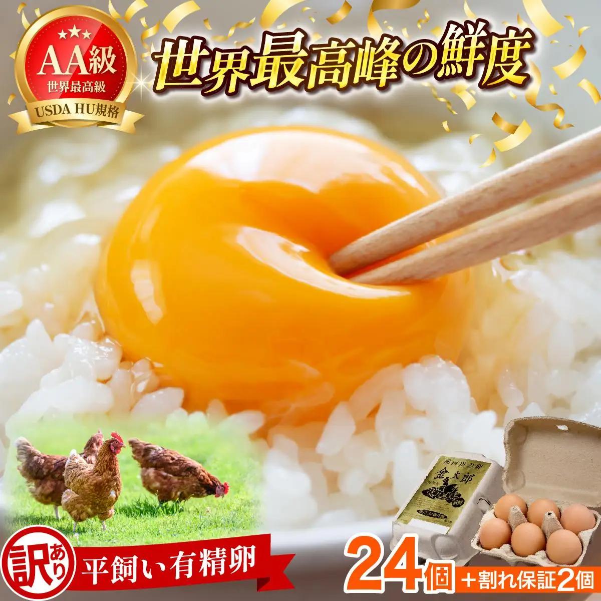  【訳あり】鮮度AA級の世界最高ランク 金太郎卵 平飼い たまご 24個（6個×4パック）
