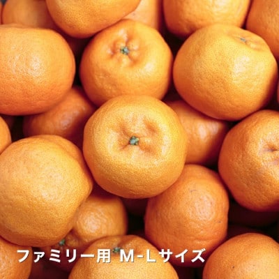 【南国を感じさせる独特の香り】愛媛ポンカン 5kg【D20−53】【1595883】