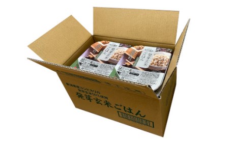 r05-10-045 発芽玄米ごはんパック 180g×10個セット