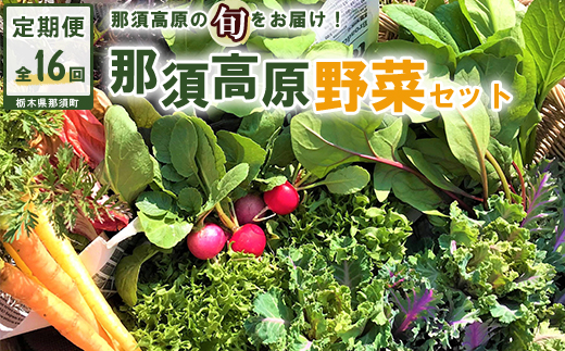 【全16回定期便】那須ブランド 那須高原野菜セット（5月後半1回、6月～12月各月2回、翌年1月前半1回） | 野菜 お野菜 新鮮 詰め合わせ やさい みずみずしい 美味しい〔P-66〕※北海道・沖縄・離島への配送不可 ※2026年5月中旬～2027年1月上旬頃に順次発送予定