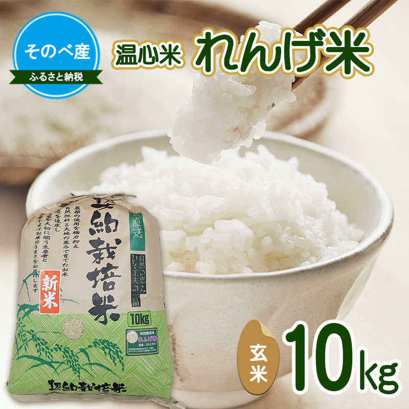 れんげ米10kg 玄米×1 令和8年度産 そのべ産 温心米 お米 新米 単一原料米 こしひかり 丹波 精米 玄米 こめ コメ 京都 新米26