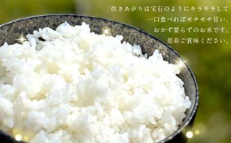 うんこ米 精白米 3kg ／  夢つくし 白米 無洗米 米 お米 国産 福岡県産 令和6年産