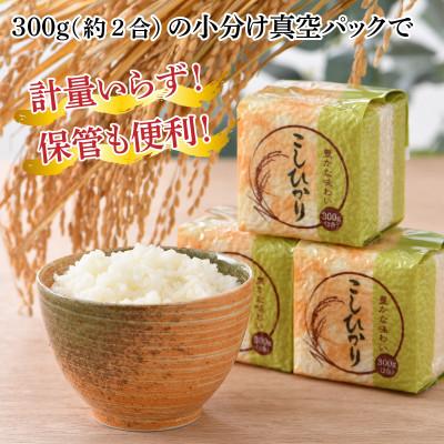ふるさと納税 小浜市 レビューキャンペーン!【真空パック】福井こしひかり2合×10個　計3kg |  | 01