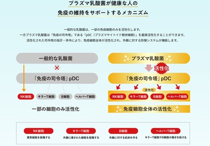 のむヨーグルト 免疫ケア 115g×16個 | のむヨーグルト