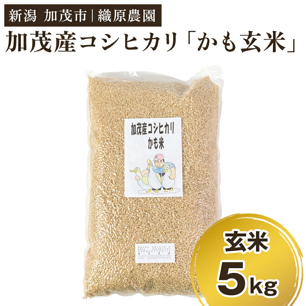 【ふるさと納税】【令和7年産新米先行予約】新潟産コシヒカリ「かも米」玄米5kg（5kg×1袋）《10月上旬～順次出荷》 真空パック 【無農薬・無化学肥料】 従来品種コシヒカリ 加茂市 織原農園