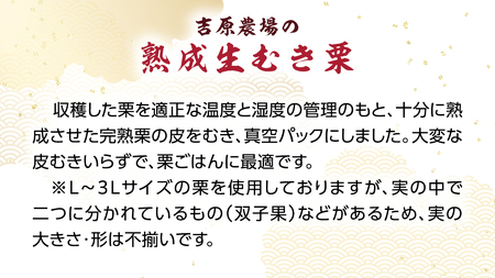 熟成 生むき栗 ( 120g × 5袋 ) 吉原農場 完熟栗 栗 くり クリ 果物 フルーツ 秋の味覚 [FC004sa]