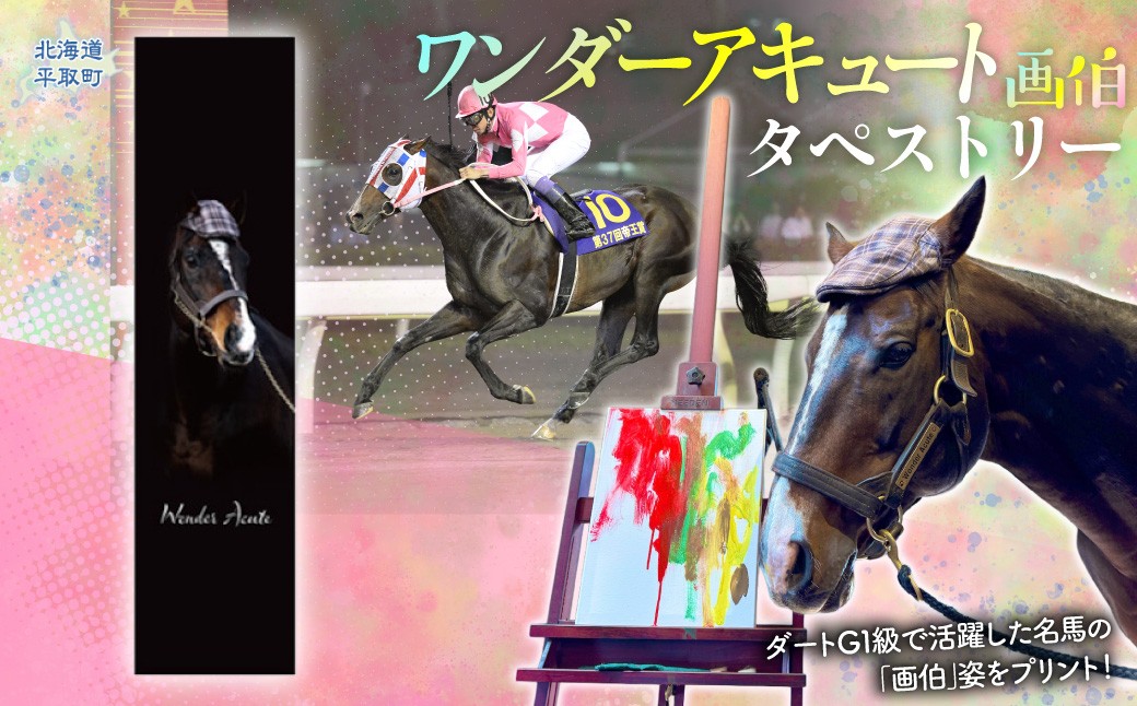
                  【ワンダーアキュート】タペストリー 【ふるさと納税 人気 おすすめ ランキング 馬 競馬 競走馬 引退馬 ワンダーアキュート タペストリー 壁掛け インテリア 飾り 生活 日高 北海道 平取町 びらとり 送料無料】 BRTV208
                