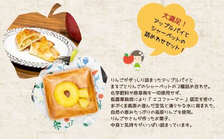 《10月下旬以降順次発送》りんご農家手作りの「はみだしりんごのアップルパイ」と「冷え冷えアップル」詰め合わせ りんご アップルパイ 冷凍りんご 小分け スイーツ おすすめ お中元 お歳暮 ギフト 二本