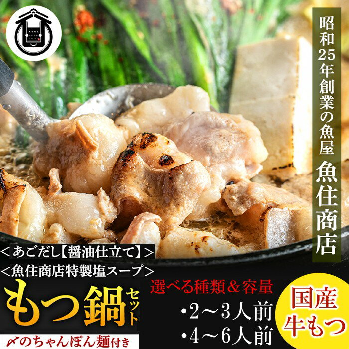 【ふるさと納税】魚住商店【国産牛もつ使用】もつ鍋セット（選べる種類・容量）【もつ鍋・醤油味】