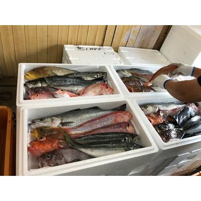 ふるさと納税 宮津市 京都府宮津市産　山一水産　鮮魚セット　約4〜5kg |  | 01