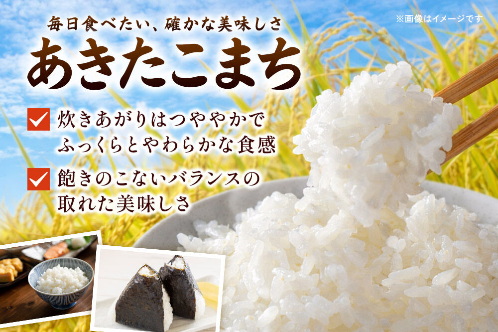《令和8年産 新米受付》【白米】《定期便9ヶ月》特別栽培米 あきたこまち 5kg 秋田県 横手市 [新米 先行予約 秋田県産 あきたこまち 秋田こまち 米 お米 こめ]
