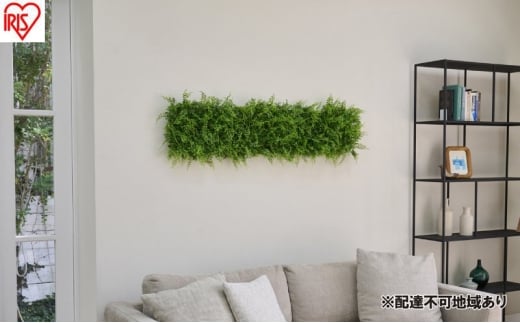ＤＥＣＯ ＧＲＥＥＮ ウォールパネル WG-50A アジアンタム 3個セット フェイクグリーン 壁掛け  アイリスオーヤマ ウォールグリーン 25×25cm 正方形 インテリア おしゃれ 壁面緑化パネル 人工観葉植物