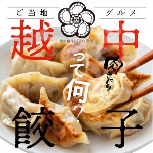 氷見牛入り越中餃子　3パック(48個入り)【配送不可地域：離島】【1558389】