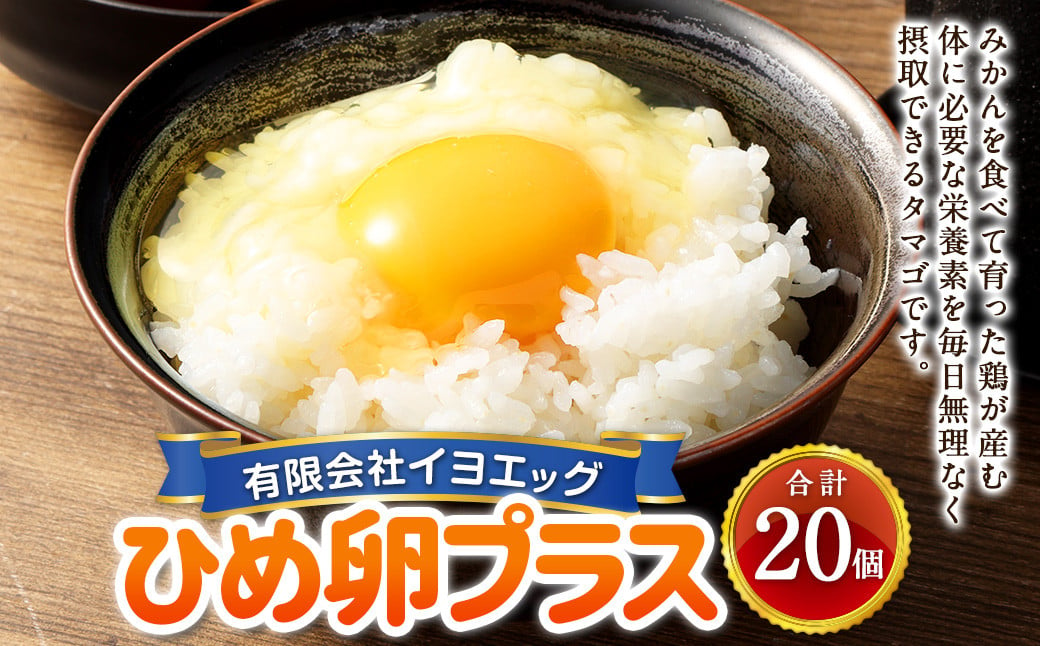 ひめ卵プラス 20個 セット （内割れ保証2個） たまご 卵 玉子 タマゴ 国産 愛媛県産 【えひめの町（超）推し！（内子町）】 （477）