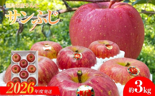 No.1224 りんご「サンふじ」約3kg【2026年度発送】