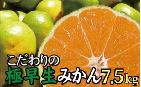 ▼【予約分】【農家直送】こだわりの極早生みかん 約7.5kg 【数量限定】 有機質肥料100% サイズ混合 ※2024年9月下旬より順次発送予定 ※北海道・沖縄・離島への配送不可 【nuk003-r-7d5】