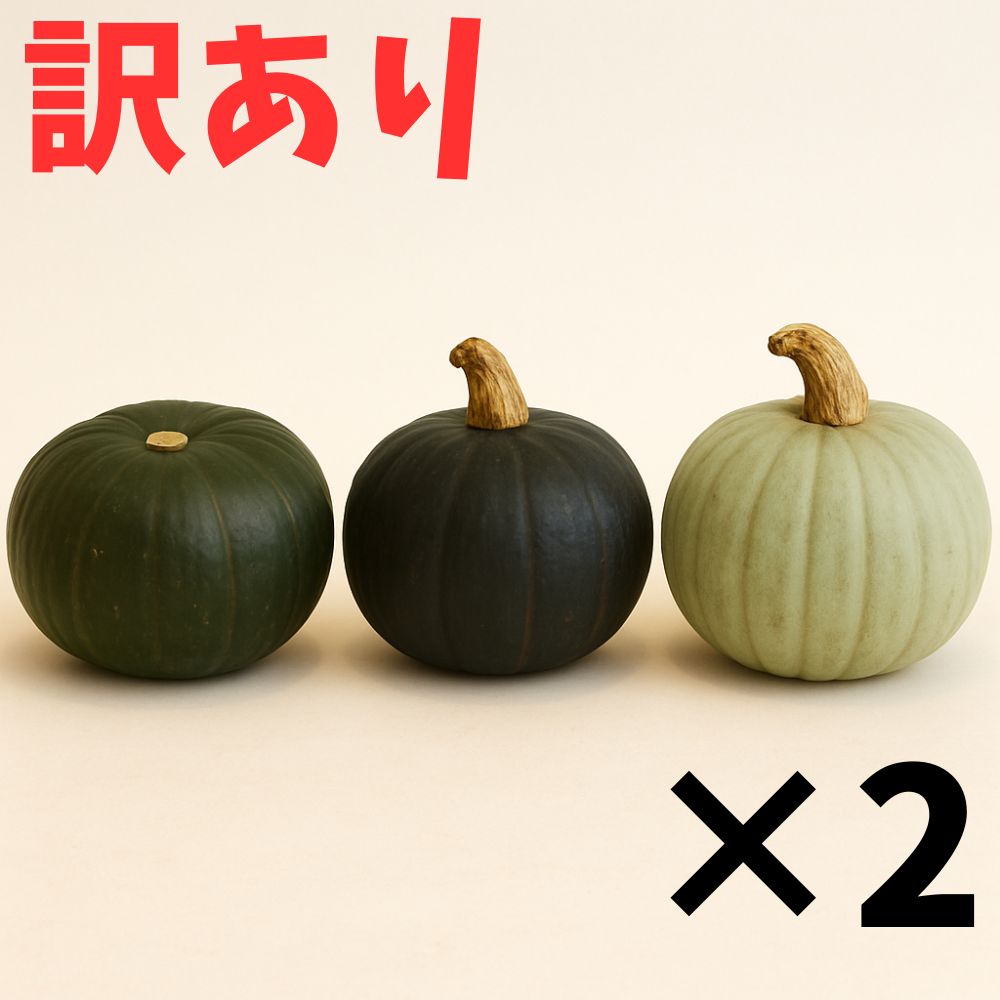 【ふるさと納税】北海道 かぼちゃ 訳あり ダークホース・とっておき・特濃こふき 3種類×2個 《足寄町》【足寄アグリバイオ株式会社】カボチャ 訳あり とっておき 特濃こふき ハロウィン グラタン スープ 旬 新鮮 北海道産 道産 寒冷地 あしょろ[BEAC015]