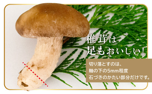 椎茸は足もおいしい！切り落とすのは、軸の下の5mm程度。石づきのかたい部分だけです。