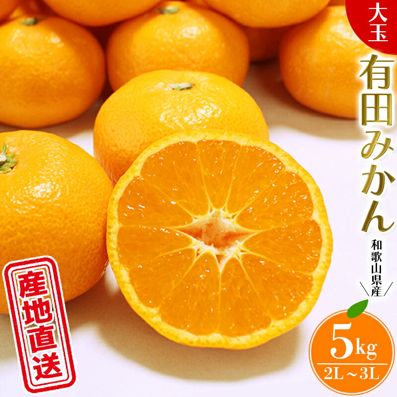 【ふるさと納税】＼ みかんの名産地 和歌山県産／ 農家直送 大玉 有田みかん 5kg （2L～3L） ひとつひとつ手選別で厳選【2026年11月下旬～2027年1月中旬頃に順次発送予定】 | みかん フルーツ 果物 くだもの 有田みかん 蜜柑 柑橘【hdm001-1A】