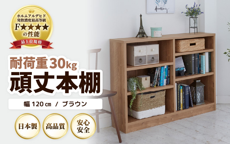 
                  GH-L120JN 頑丈本棚 幅120cm ブラウン（ロータイプ）たっぷり安心して収納！日本製 [aw053-g002]
                