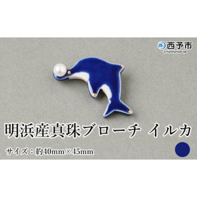 ふるさと納税 西予市 保証書付&lt;明浜産 真珠ブローチ イルカ(青)&gt; 8.0〜8.5mm 純国産 高品質 アコヤ真