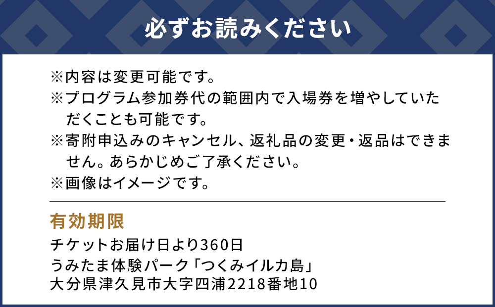 イルカと泳ごう！シングル（イルカとふれあい体験チケット）体験チケット レジャーチケット アクティビティ 動物ふれあい 大分県産 九州産 津久見市 熨斗対応【tsu001204】