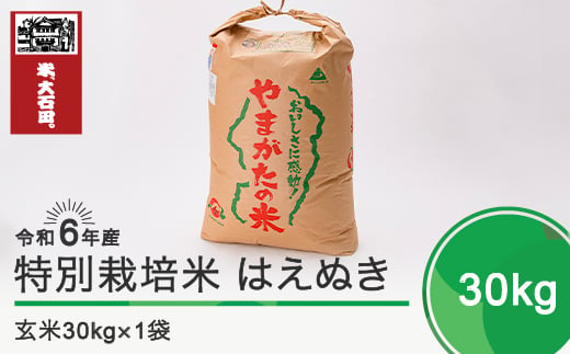 新米 令和6年産 米 はえぬき 30㎏ 大石田町産 特別栽培米 玄米 ja-hagxb30