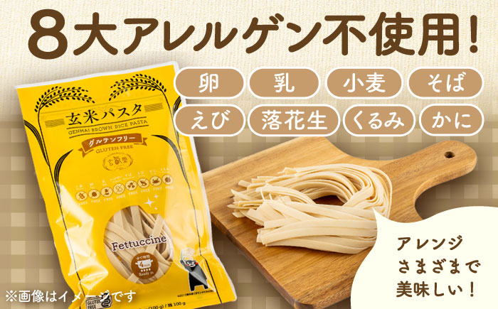 玄米パスタ フェットチーネ20袋セット / 玄米 パスタ 特産品 熊本【株式会社熊本玄米研究所】 [BHAF031]