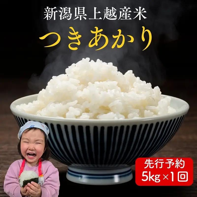 令和8年産 先行予約  つきあかり 新米 つきあかり 5kg