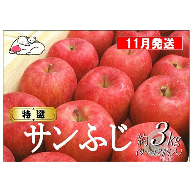 【11月発送】白熊 特選 サンふじ 絆 約3kg 糖度13度【弘前市産 青森りんご】