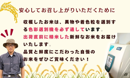 【先行予約】 令和７年産 コシヒカリ 精米 5㎏ ＜2025年9月中旬より発送＞ 奥信濃飯山～木内ファームのお米～ コシヒカリ 精米 5㎏ (7-8B) 長野県 飯山市 おすすめ ランキング おいしい