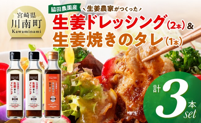 脇田農園産　生姜農家が作った生姜ドレッシング2本＆生姜焼きのタレ1本　計3本セット 【 生姜 ショウガ 国産 宮崎県産 九州産 川南町産 農家直送 しょうが 生姜焼きのたれ ドレッシング 】 [C07003]