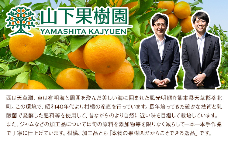 ジャム 手作り 詰め合わせ みかんジャムソース 235g×2本 天草晩柑ジャム 150g×1本 ゴロっとみかんジャム 150g×1本 計3種 計4本セット 《90日以内に出荷予定(土日祝除く)》 山下