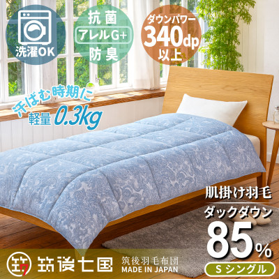 抗菌ダウン85% 0.3kg 洗える肌掛け羽毛布団シングル (ブルー系)【筑後七国羽毛ふとん】