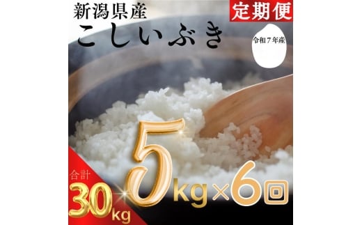令和7年 新潟県産こしいぶき 30kg 30キロ（ 5kg×6回） 定期便 （毎月発送） 米ヴィレッジさんわ 自社精米 米 白米 送料無料 新潟県で生まれた品種で、程よい粘りとやさしい甘味が特徴のお米 限定[№5361-2025]