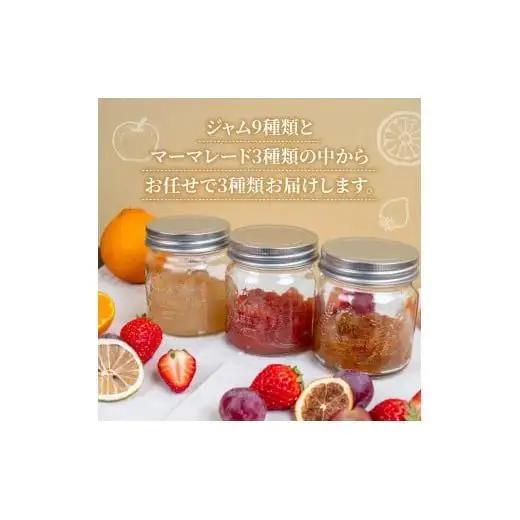 【 ジャム 】 ジャム3種ドライフルーツ1種 4回定期便