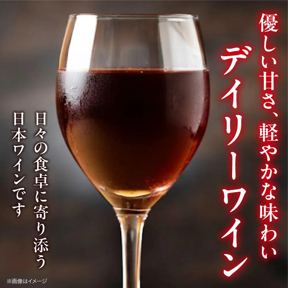 赤ワイン 榴 りゅう RYU 750ml×6本 [APAZ135]赤ワイン