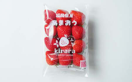 あまおう 約570g 約285g×2パック いちごファームきらら いちご イチゴ 苺【ふくおかエコ農産物認証】【2027年2月上旬から3月下旬発送予定】