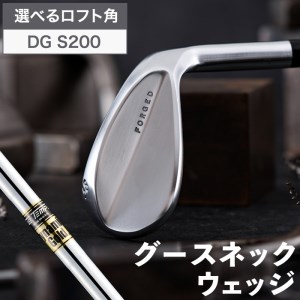 044BD01N.叡智オリジナルウェッジ「グースネック」（DGS200)