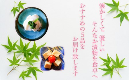 漬物 定期便 季節ごと 年4回 野菜 漬物 季節野菜 5品