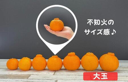 不知火 大玉 どっこいしょ 箱込 5kg (内容量約 4.4kg) 秀優混合 和歌山県産［みかんの会］