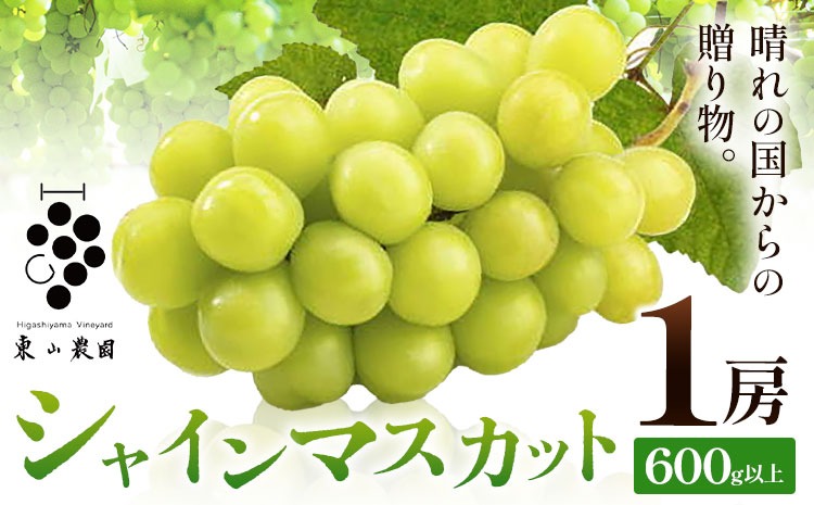 ぶどう シャインマスカット【2026年発送先行予約】 晴れの国からの贈り物 シャインマスカット 600g 以上 1房 《2026年9月上旬-10月中旬頃出荷》 東山農園 ブドウ 葡萄 マスカット 果物 フルーツ ギフト 岡山県 笠岡市 ---H-47---