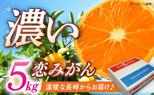 長崎恋みかん 5kg ＜11月～12月お届け＞ 長崎県/長崎県農協直販 [42ZZAA025] みかん こいみかん ミカン 柑橘 果物 くだもの フルーツ 先行 予約 ブランド 長崎 長崎県