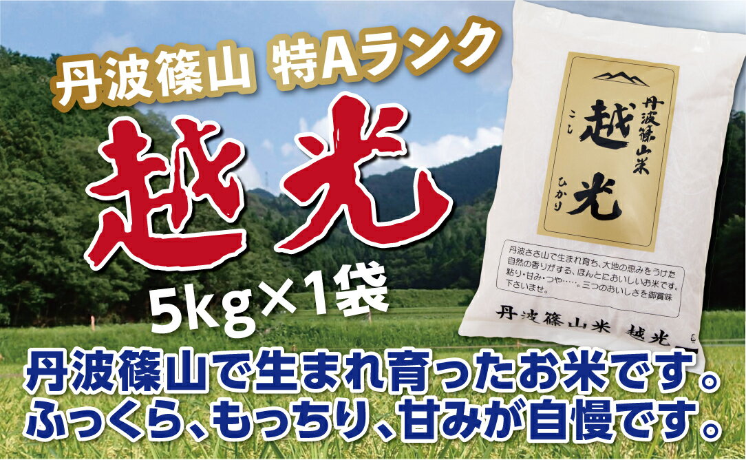 【ふるさと納税】令和6年産　丹波篠山産 特Aランク 越 光 （5kg×1袋） | 丹波篠山 お米 おこめ ブランド米 ごはん ご飯 白米 米 コメ こめ 精米 精白米 ライス おいしい米 美味しいお米 兵庫県 お取り寄せ こしひかり コシヒカリ