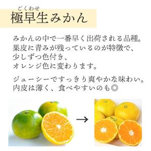 【2025年10月より順次発送】シーズン一番採り 極早生みかん 大玉9kg【訳あり】【C25-74】【1148854】