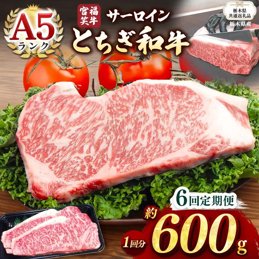 【栃木県共通返礼品 栃木県産】【定期便6回】宮福笑牛(とちぎ和牛) A5 サーロインステーキ　約200gx3枚  | 栃木県 下野市